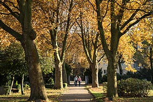 Matthäusfriedhof Essen-Borbeck