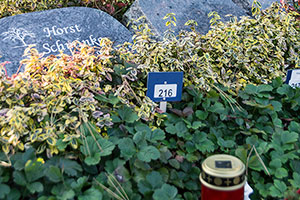 Matthäusfriedhof Essen-Borbeck