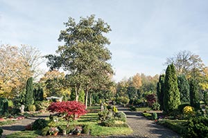 Evangelischer Friedhof an der Gnadenkirche