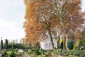 Evangelischer Friedhof Katernberg