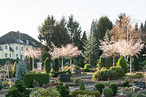 Evangelischer Friedhof Essen-Kettwig