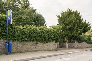 Evangelischer Friedhof Essen-Kupferdreh