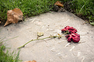 Evangelischer Friedhof Essen-Kupferdreh