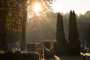 Matthäusfriedhof Essen-Borbeck