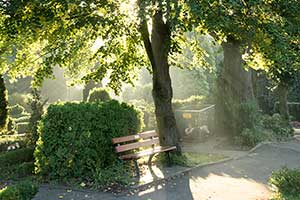 Matthäusfriedhof Essen-Borbeck