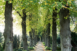 Evangelischer Friedhof Essen-Überruhr